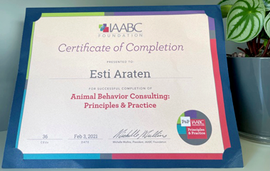 IAABC Certificate