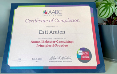 The IAABC Animal Behavior Consulting Principles & Practice Course